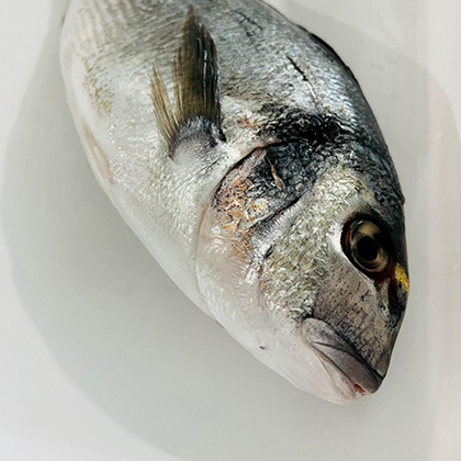 Pescado Blanco - Hermanos Rosso